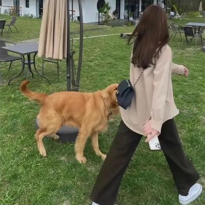 挪威的森林